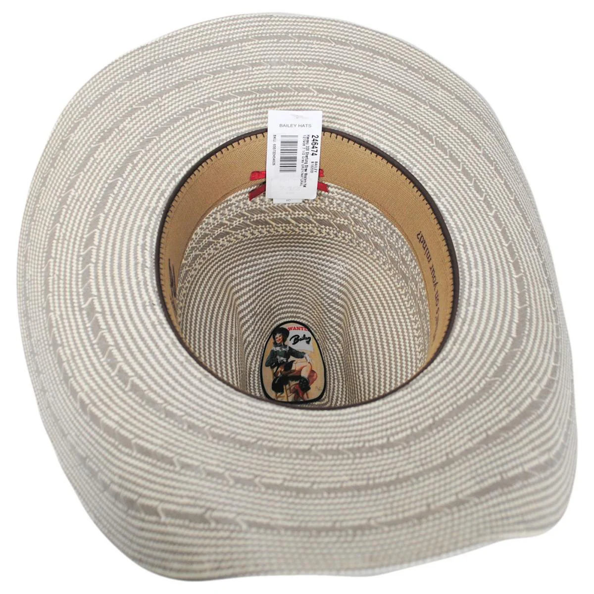 Havasu 20X Shantung Straw Western Hat - Image 4