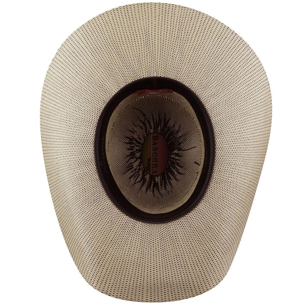 Vaughn Bangora Straw Western Hat - Image 3